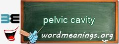 WordMeaning blackboard for pelvic cavity